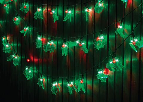 Image of Holly Lights LED 40pk