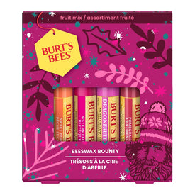 Burt's Bees Fruit Mix Lip Balm Gift Set 4pk - Limited Edition