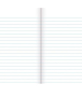 Warwick Notebook 3B1 32 Leaf Ruled 7mm 165x100mm