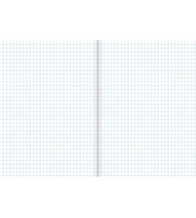 Warwick Exercise Book 1E5 36 Leaf Quad 7mm 255x205mm