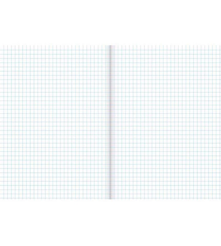 Image of Warwick Exercise Book 1E5 36 Leaf Quad 7mm 255x205mm