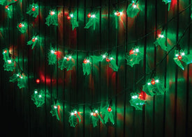 Holly Lights LED 40pk